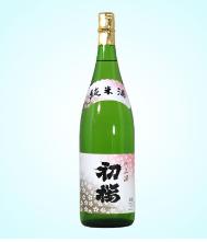 紀州かつらぎ川上酒 初桜 純米 1.8L 一升瓶